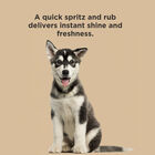 BioSilk For Dogs Silk Therapy Coconut Oil Waterless Bath Spray, , large image number null